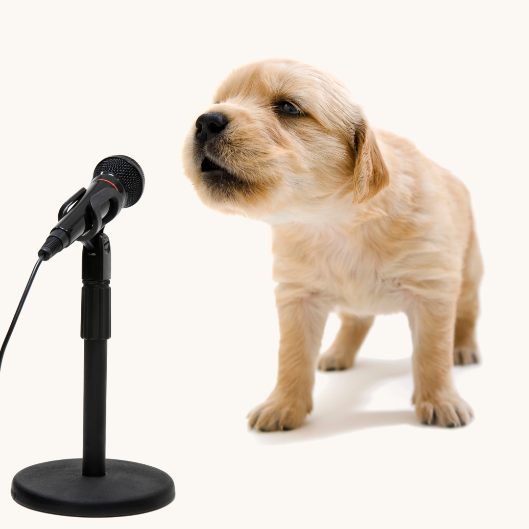 Singing - Puppy & Microphone